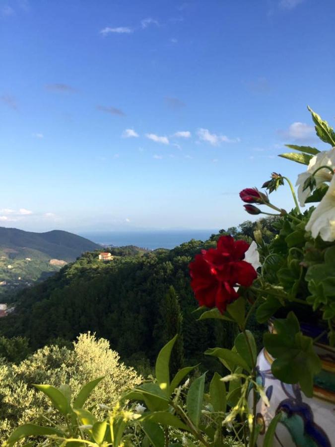 La Riggiola Panzió Salerno Kültér fotó